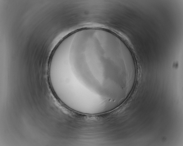 X0000114671231200911181159