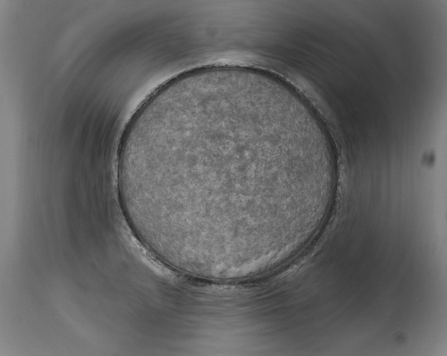 X0000114671232200911181159