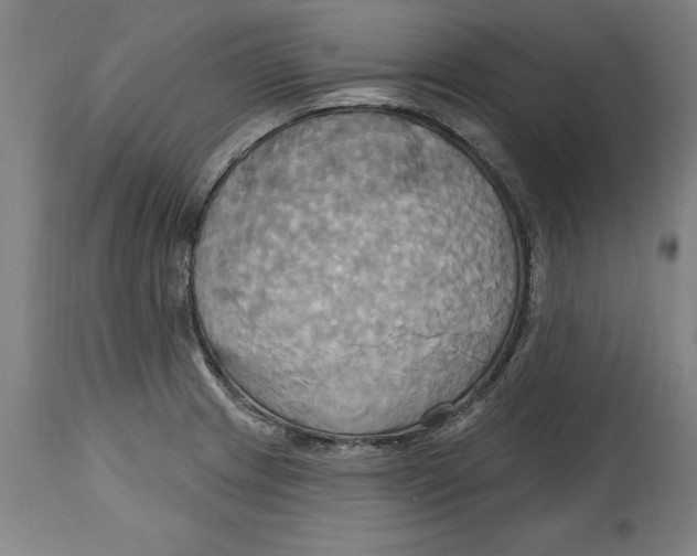 X0000114671233200911181159