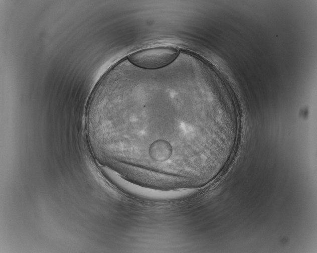 X0000114671234200911181159