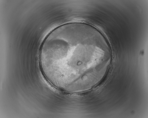 X0000114671235200911181159