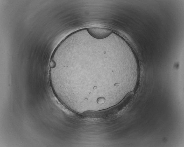 X0000114671236200911181159