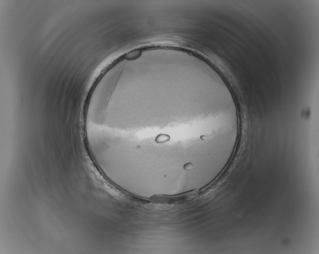 X0000114671240200911181159