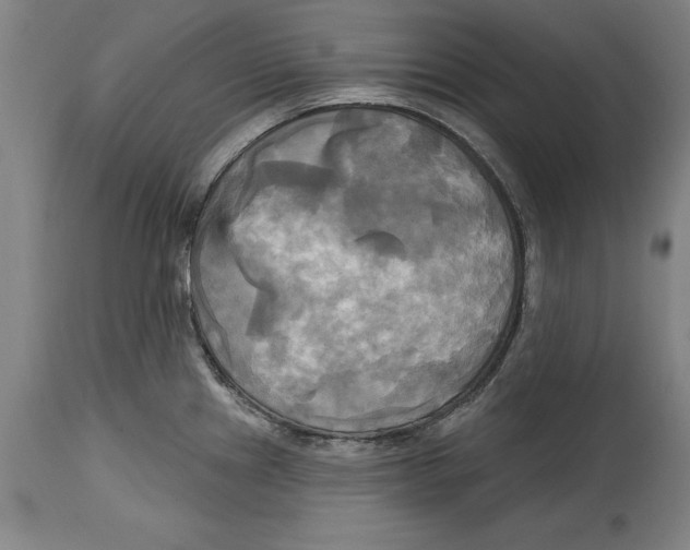 X0000114671241200911181159