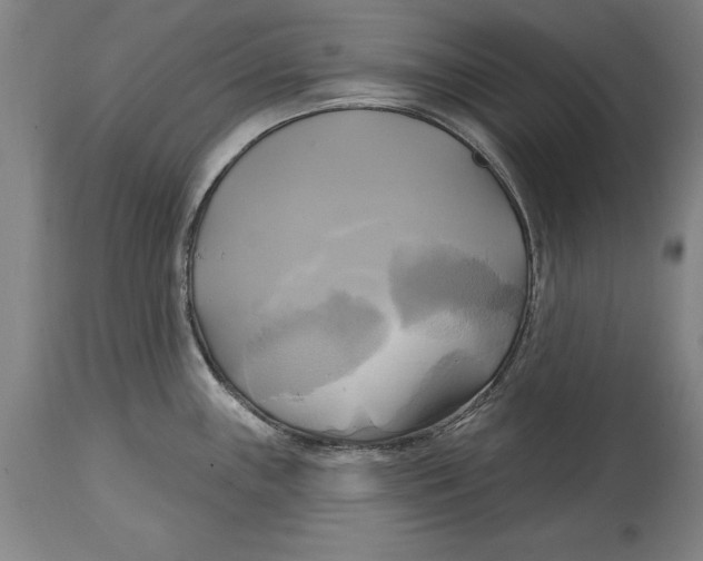 X0000114671243200911181159