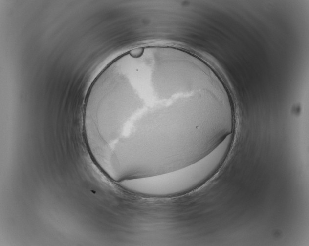 X0000114671244200911181159