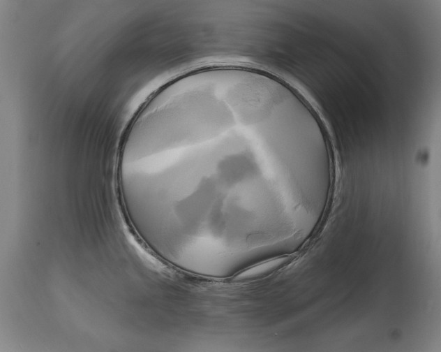 X0000114671245200911181159