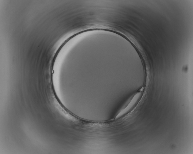 X0000114671246200911181159