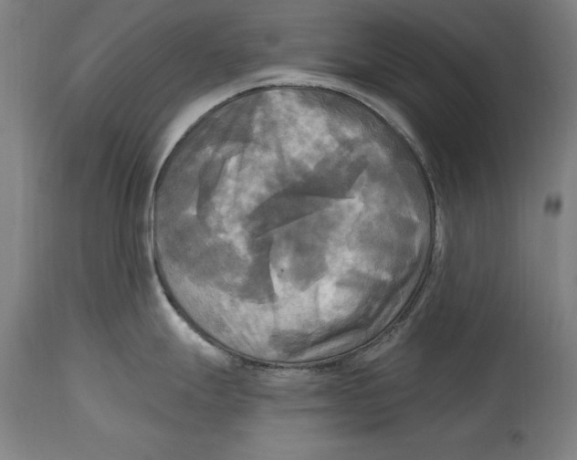 X0000114671247200911181159