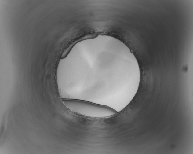 X0000114671249200911181159