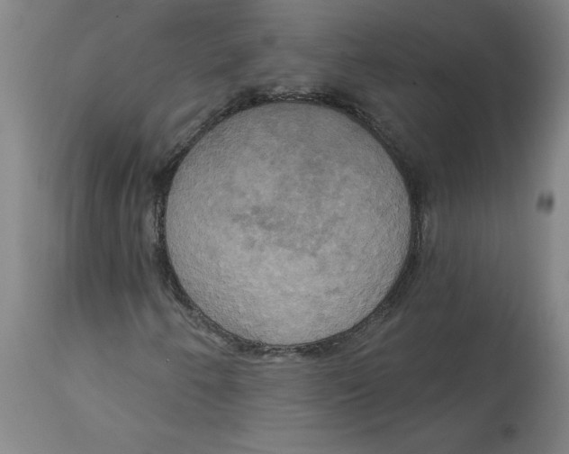 X0000114671250200911181159