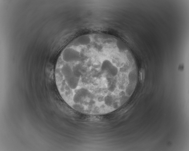 X0000114671251200911181159