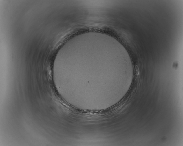 X0000114671252200911181159