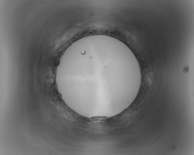 X0000114671253200911181159