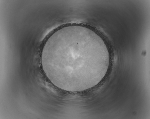 X0000114671256200911181158