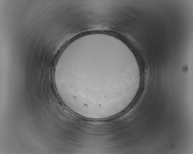 X0000114671257200911181158