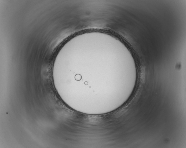 X0000114671258200911181158