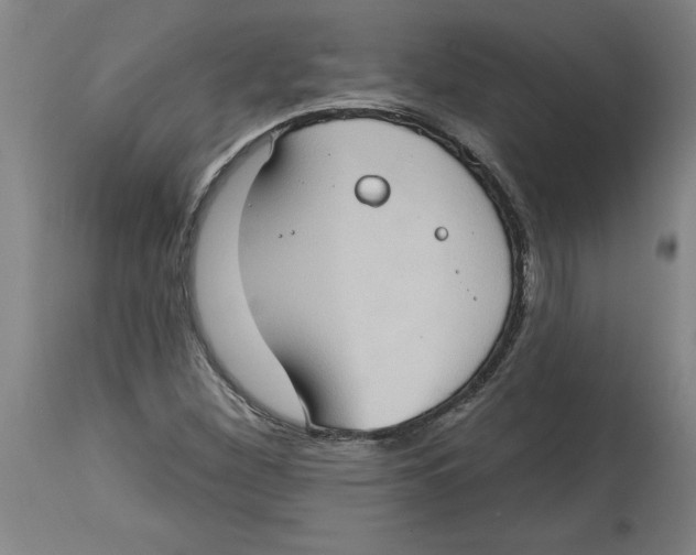 X0000114671260200911181158