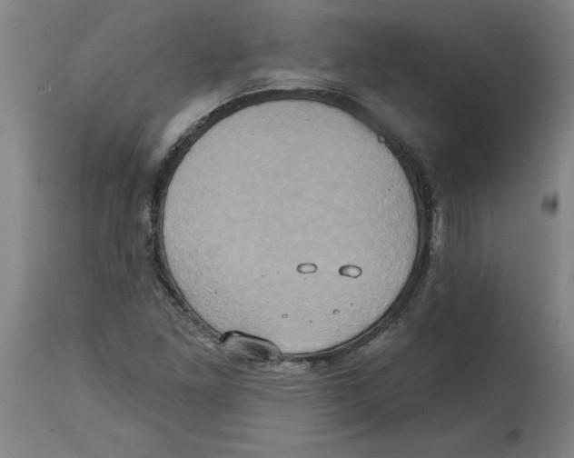 X0000114671261200911181158