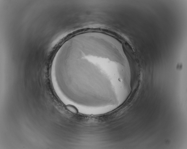 X0000114671263200911181158