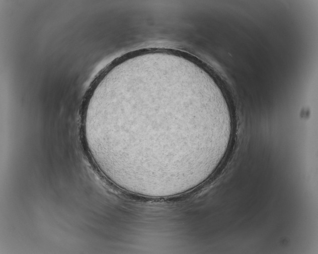 X0000114671264200911181158