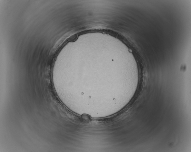 X0000114671265200911181158