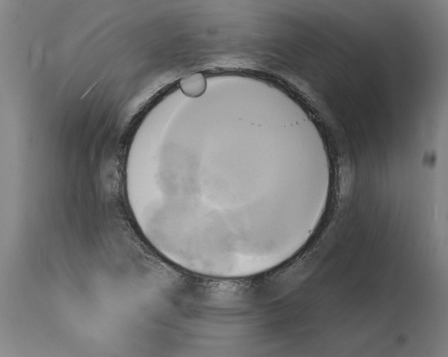 X0000114671266200911181158