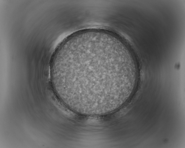 X0000114671267200911181158