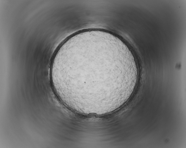 X0000114671268200911181158