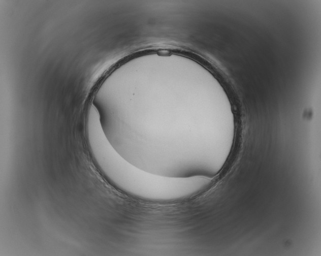 X0000114671269200911181158