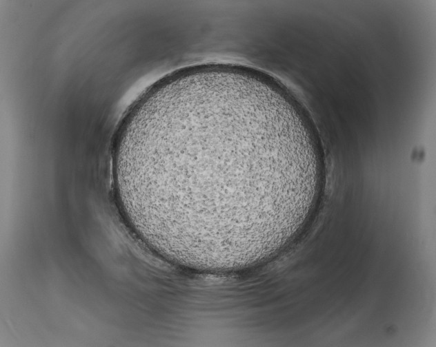 X0000114671271200911181158