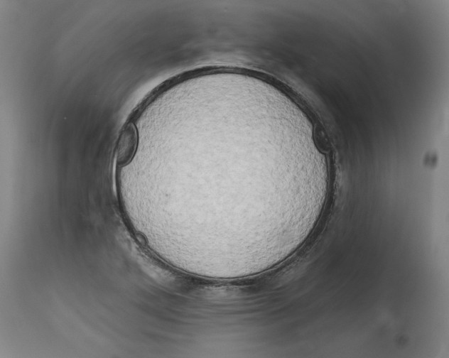 X0000114671272200911181158