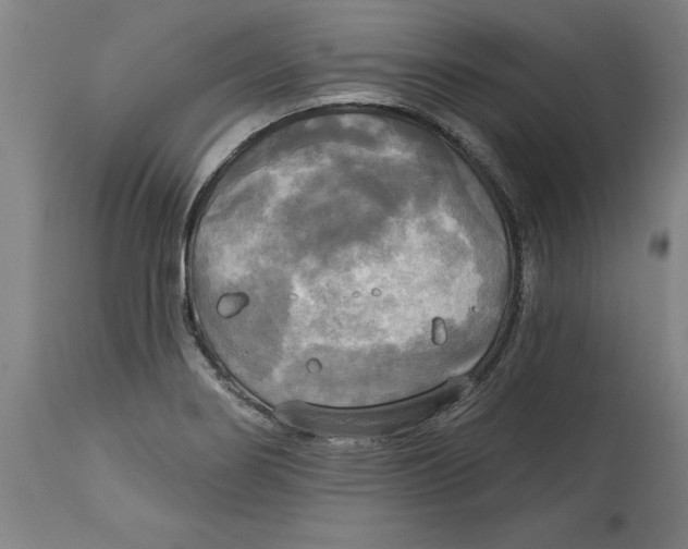 X0000114671274200911181158