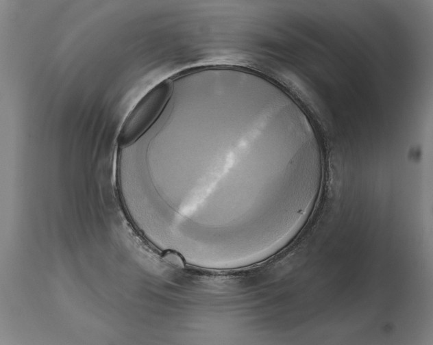 X0000114671276200911181158