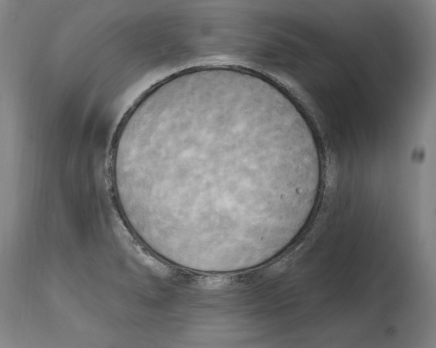 X0000114671278200911181158