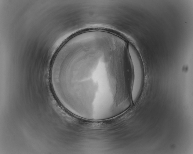 X0000114671279200911181158