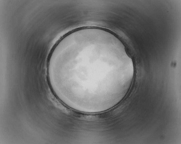 X0000114671280200911181158