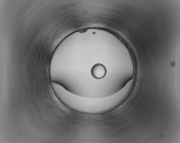 X0000114671281200911181158