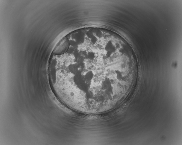 X0000114671283200911181158