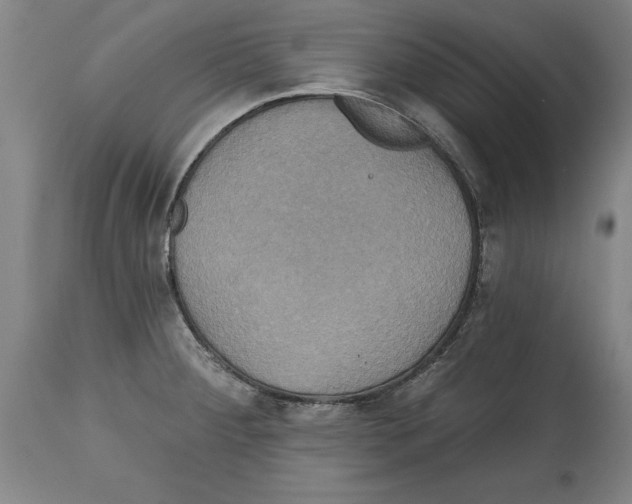 X0000114671284200911181158