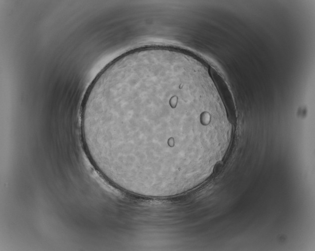 X0000114671287200911181158