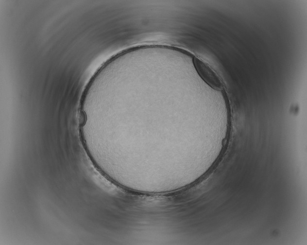 X0000114671288200911181158