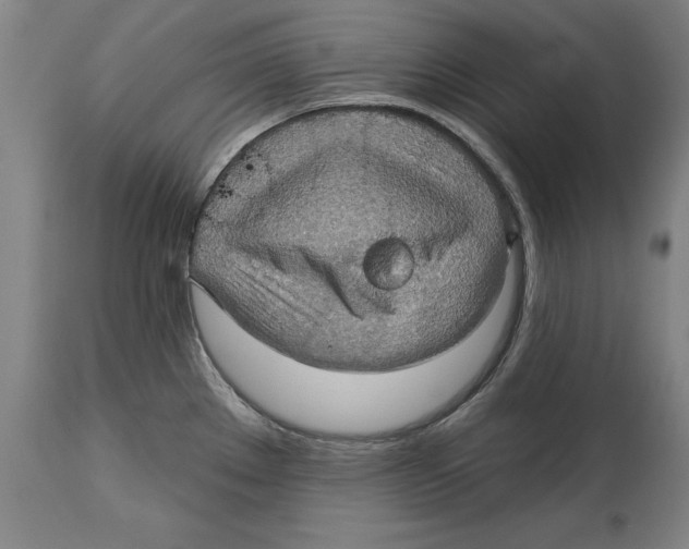 X0000114671289200911181158