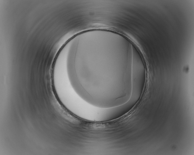 X0000114671291200911181158