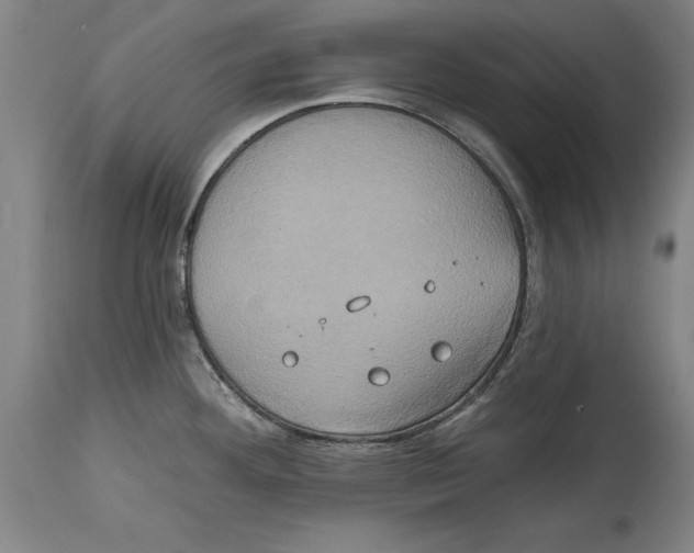 X0000114671292200911181158