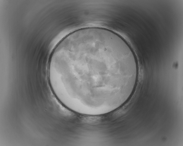 X0000114671294200911181158