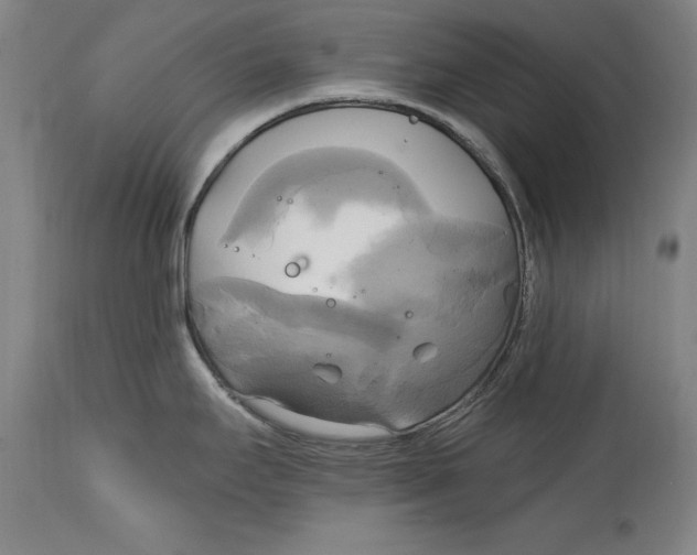 X0000114671295200911181158