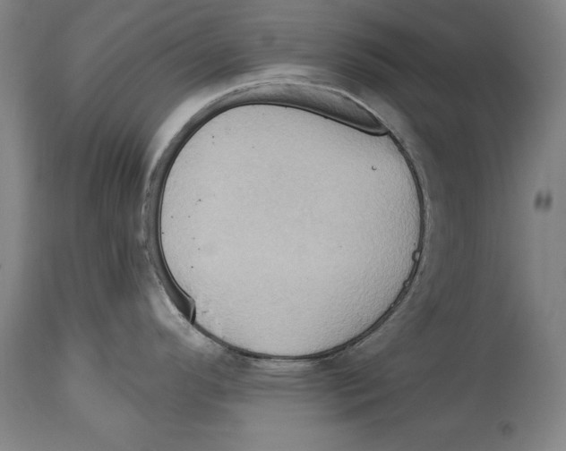 X0000114671296200911181158