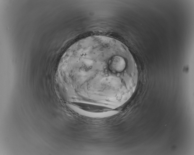 X0000114671297200911181157