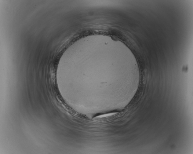 X0000114671298200911181157